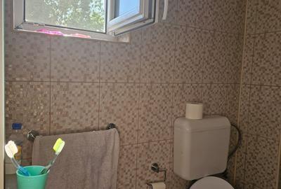 Casă individuală cu 7 camere cu Teren 250 Mp în Andronache - 12