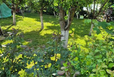 Casă cu 3 camere cu Teren 969 Mp în Albina - 5