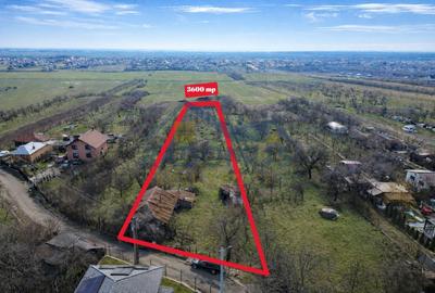 Teren Construcții intravilan de 3600 mp, în Cocoșești
