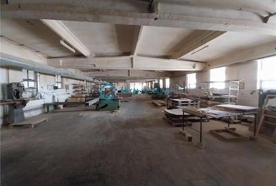 Spațiu industrial, de 3,000 mp, în Exterior Est - 5