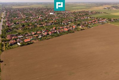 Teren agricol extravilan de 28500 mp, în Șofronea - 7