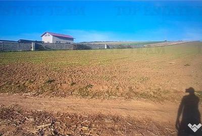 Teren de 5000 mp, în Șimnicu de Sus - 1