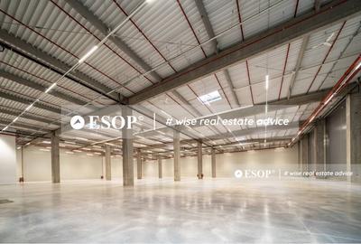 Spațiu industrial, de 5,000 mp, în Brătulești - 2