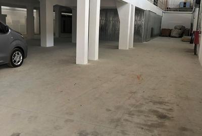 Spațiu industrial, de 5,400 mp, în Giurgiului - 7
