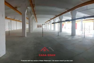 Spațiu industrial, de 13,000 mp, în Băicoi - 6