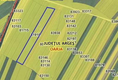 Teren de 81910 mp, în Oarja - 6