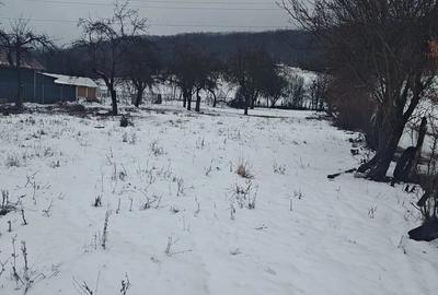 Teren de 2635 mp, în Dăești - 3