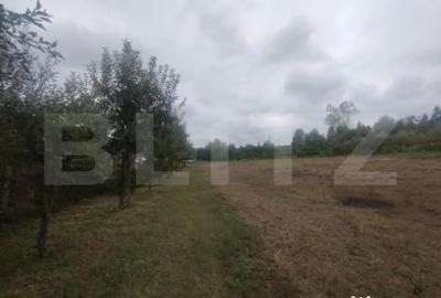 Teren de 5000 mp, în Central - 1