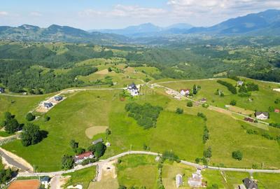 Teren Construcții intravilan de 13000 mp, în Șirnea - 7