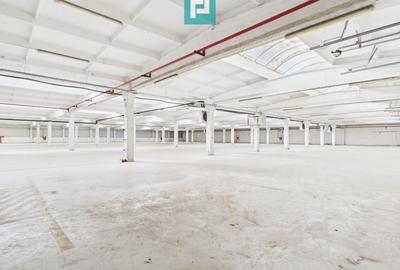 Spațiu industrial, de 39,139 mp, în Nord - 3