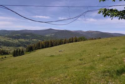 Casă cu Teren 30 Mp în Arieșeni - 4