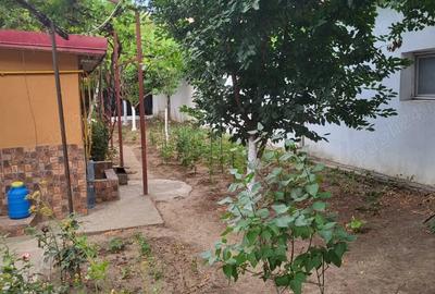 Casă cu 4 camere în Coiciu - 3
