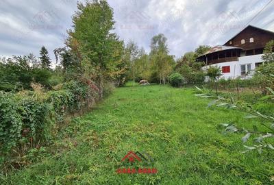 Casă cu Teren 3676 Mp în Poiana - 9