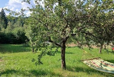Teren de 1500 mp, în Râșca