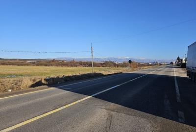 Teren Construcții extravilan de 49933 mp, în Beiuș - 5