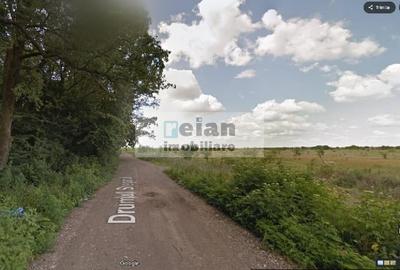 Teren Construcții intravilan de 7500 mp, în Băneasa - 1