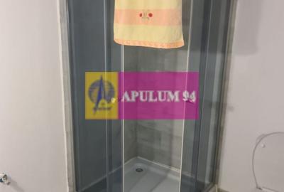 Casă individuală cu 2 camere decomandat cu Canalizare în Central - 10