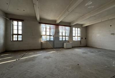 Spațiu comercial, de 2,500 mp, în Ultracentral - 19