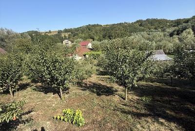 Casă cu 4 camere în Traian