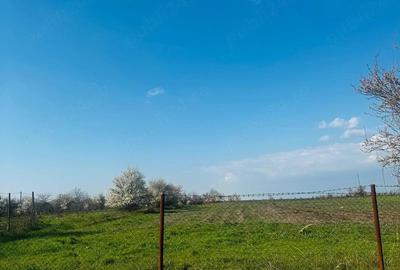 Teren de 1000 mp, în Potârnichea - 2
