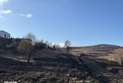 Teren de 800 mp, în Borhanci