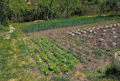 Casă cu 2 camere cu Teren 800 Mp în Cornești (Crăciunești)