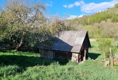 Casă cu Teren 577 Mp în Mușca - 4