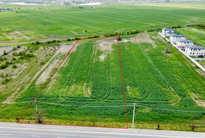 Teren Construcții intravilan de 25000 mp, în Balotești - 3