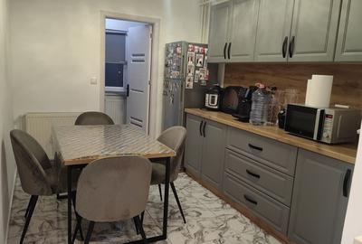 Apartament cu 2 camere semidecomandat în Craiovița Nouă - 8