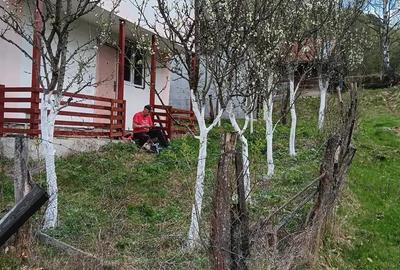 Casă cu Teren 150 Mp în Roșia Montană - 2