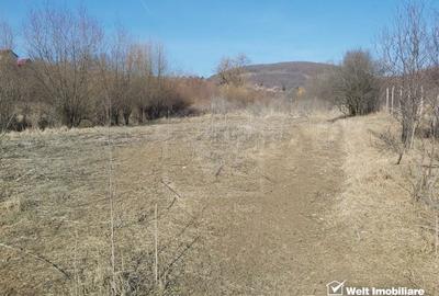 Teren Construcții intravilan de 1000 mp, în Ciurila - 6