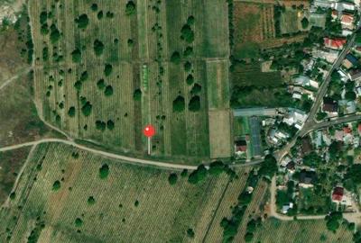 Teren de 4000 mp, în Câmpineanca - 5