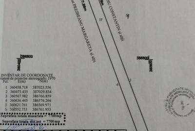 Teren de 7700 mp, în Drăguțești - 1