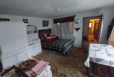 Casă cu 3 camere cu Teren 1900 Mp în Măgura - 14