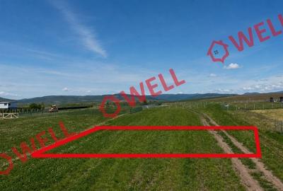 Teren intravilan de 800 mp, în Baraolt - 5
