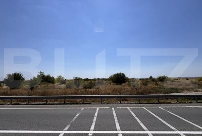 Teren intravilan, 13.025 mp, 40mp deschidere zona Carcea - 5