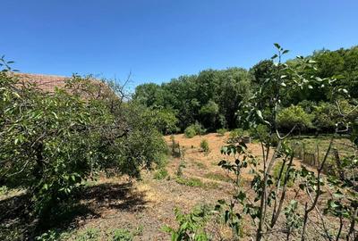 Casă cu 2 camere în Cojocna - 5