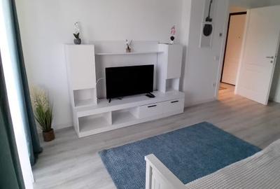 Garsonieră decomandată, mobilată în Frumoasa - 15