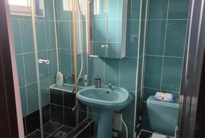 Apartament 2 camere de inchiriat P?a Nicolina, Blv N. Iorga 420euro neg - 4