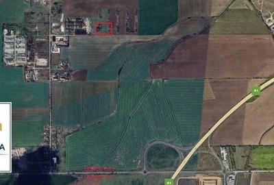 Teren agricol extravilan de 18500 mp, în Aradul Nou - 3