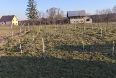 Casă cu 7 camere cu Teren 2500 Mp în Marginea - 9