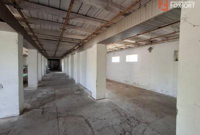 Spațiu industrial, de 695 mp, în Giulvăz - 16