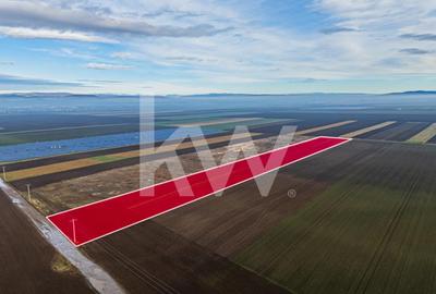 Teren Construcții intravilan de 16000 mp, în Hărman - 8