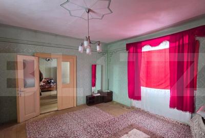 Casa cu teren 32 ari Viile Tecii, la 30 km de Bistri?a - 9