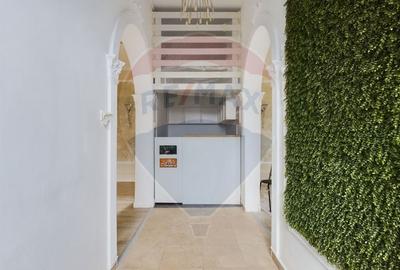 Spatiu Comercial cu 4 camere de vanzare Ultracentral - 9