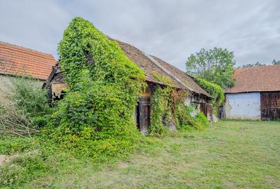 COMISION 0%| CASA DE VANZARE| PERSANI | TEREN 593 MP | - 3