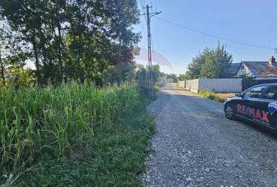 Teren de 7500 mp, în Moara - 16