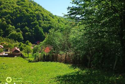 Teren de 1750 mp, în Central - 2