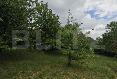 Teren de 14000 mp, în Mihai Viteazu - 11