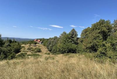 Teren de 45809 mp, în Mădrigești - 6